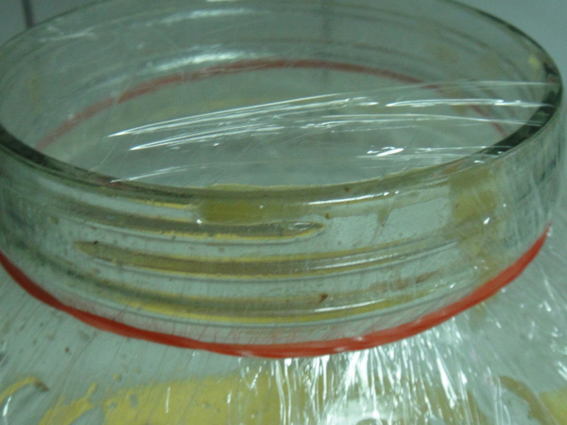 ����� ������ �ɹ��� �Դ� ���Ʒ�������