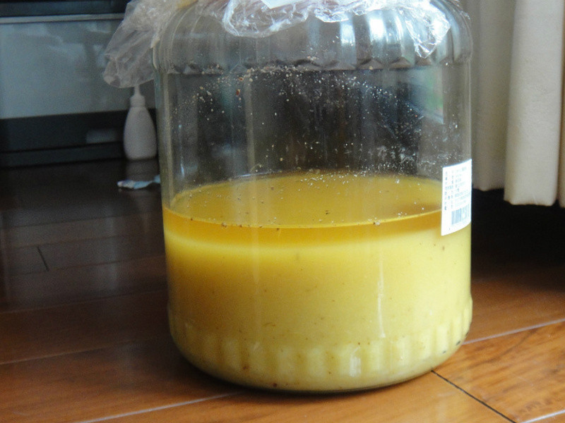 ����� ������ �ɹ��� �Դ� ���Ʒ�������