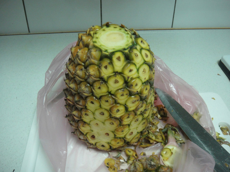 ����� ������ �ɹ��� �Դ� ���Ʒ�������