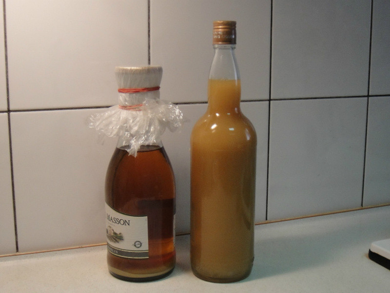 ����� ������ �ɹ��� �Դ� ���Ʒ�������