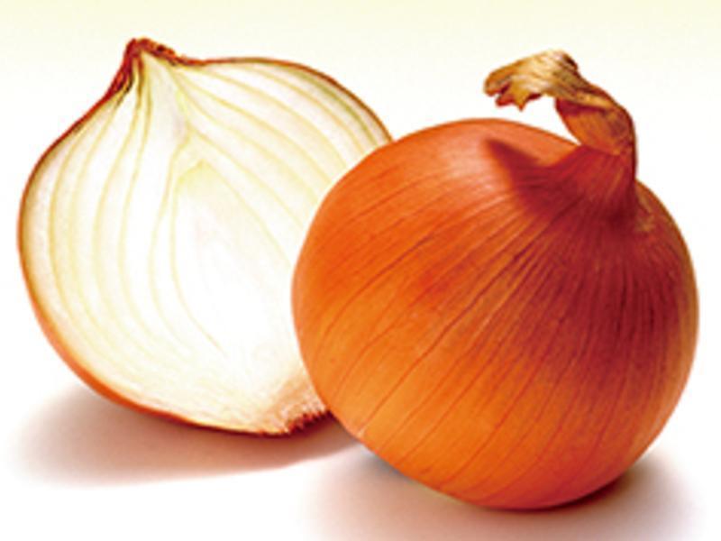 �����R�����н�֭������