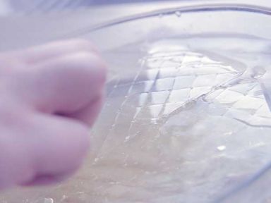 ���ɿ�����������Ľ˹������