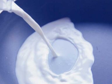 ���ɿ�����������Ľ˹������