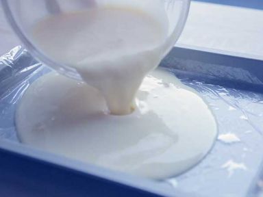 ���ɿ�����������Ľ˹������