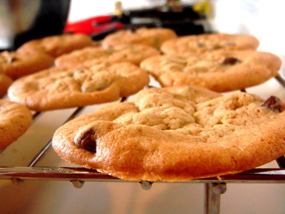 �����ɿ������������