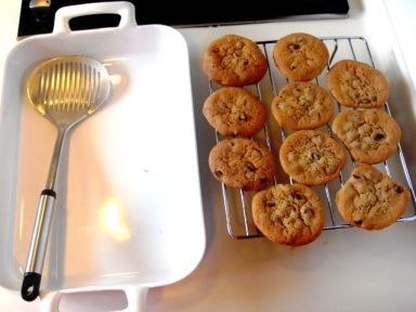 �����ɿ������������