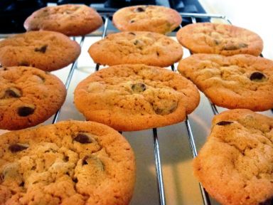 �����ɿ������������