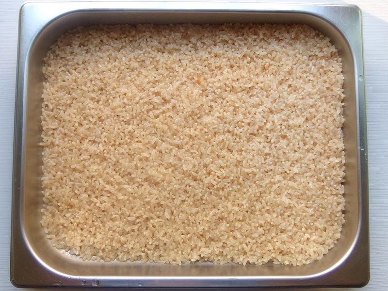 �����ǹ�Բ�����׸⡿������