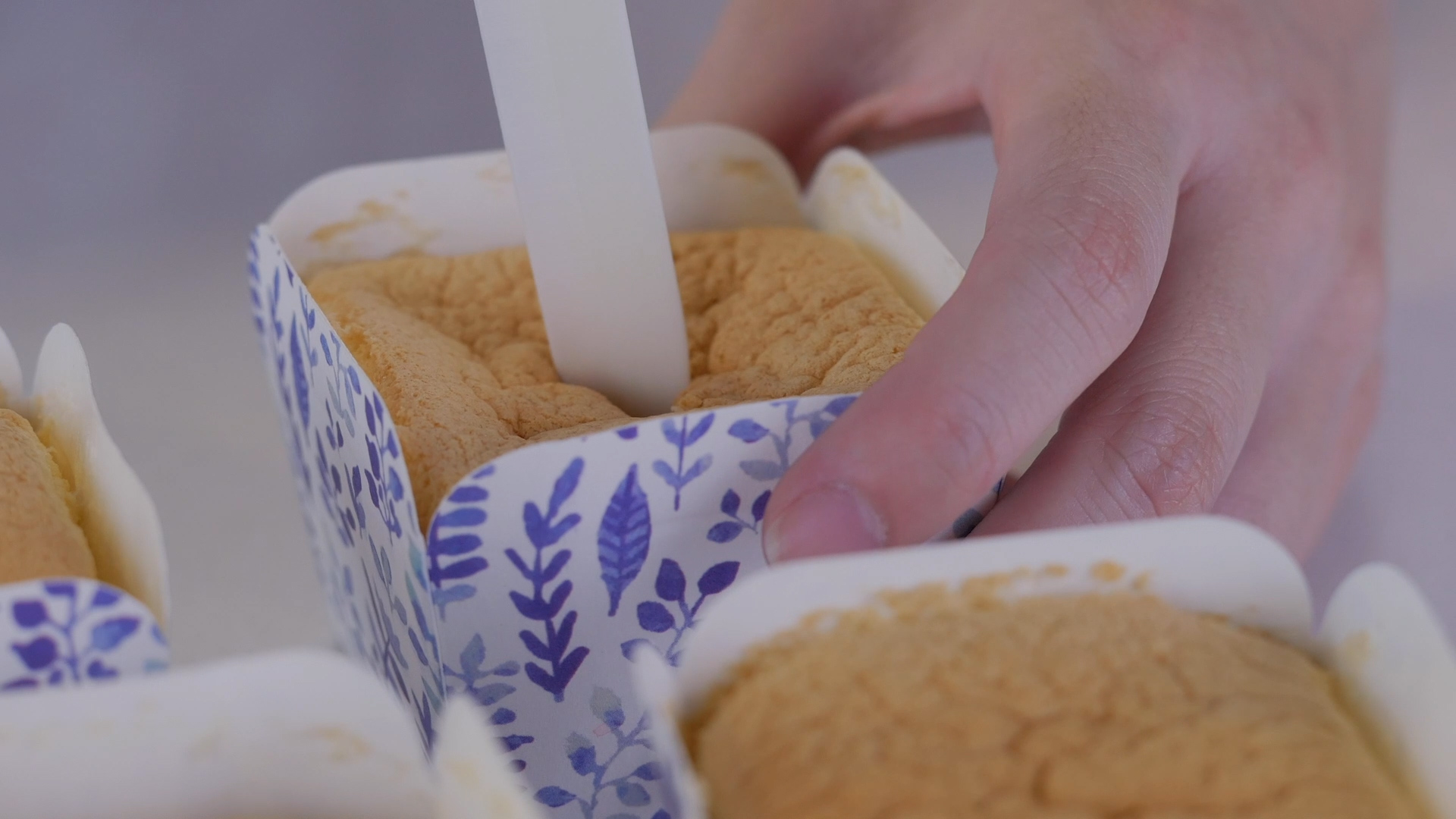 ��������ݮ�ݷ硾��ζ�ռǡ�������