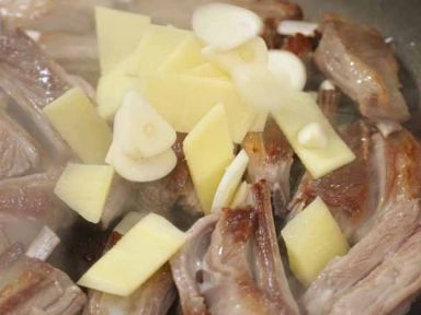 ���������ŵ�����