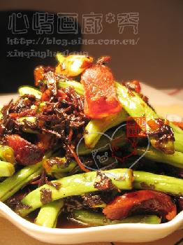 ù�����ļ���������