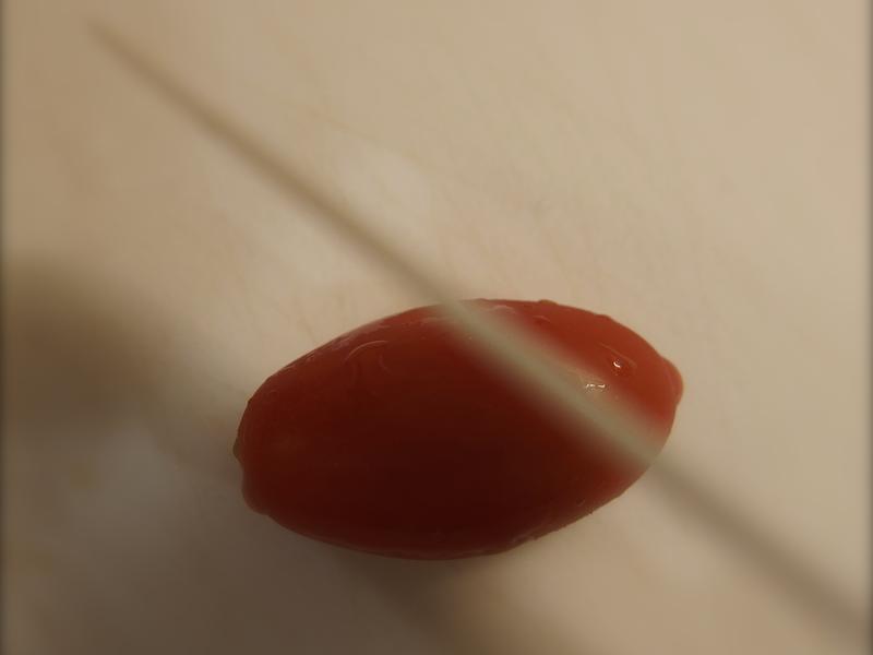 �����˽ڡ�������ӡСެ�ѵ�����