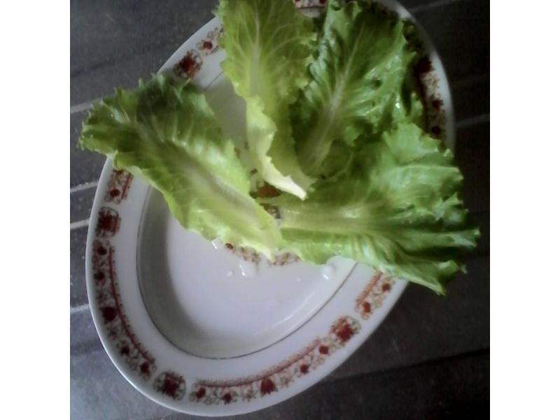 ������������ת�����ָ����������������