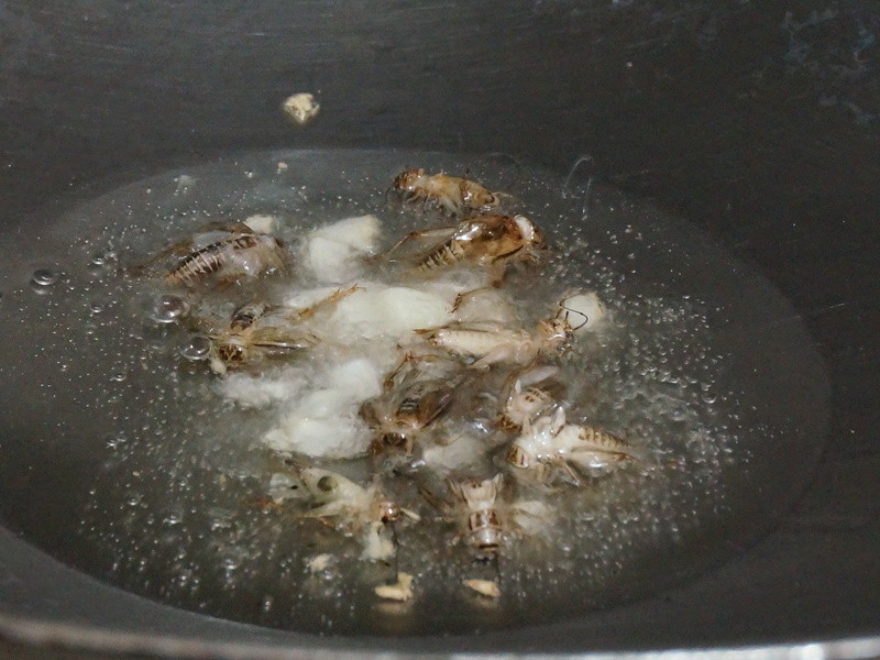 ̩ʽ�����棭�ó��ϲˇӵ�����