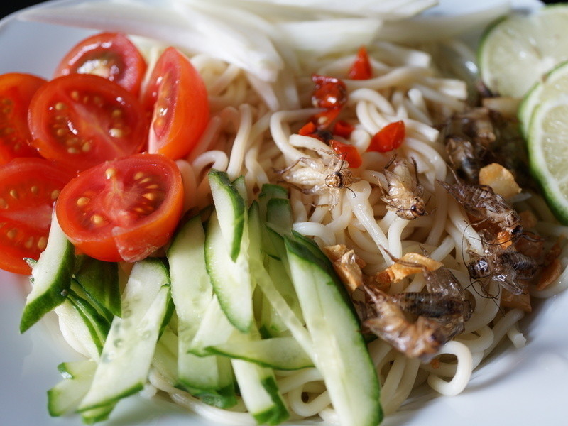 ̩ʽ�����棭�ó��ϲˇӵ�����