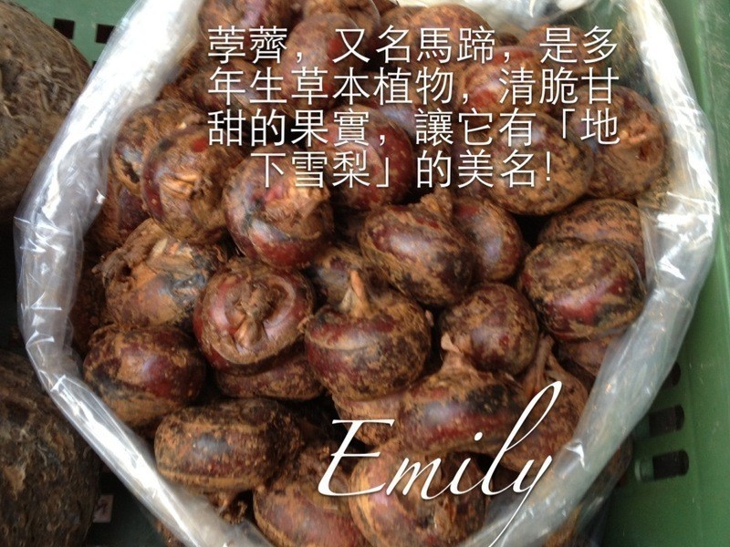 ����ѩ��~ݩ�������ӵ�����