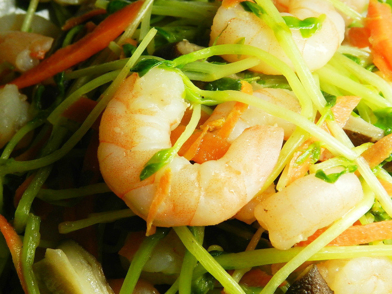 Ϻ���㶹Ӥ������