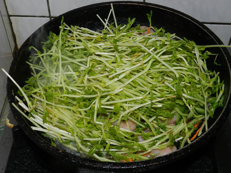 Ϻ���㶹Ӥ������