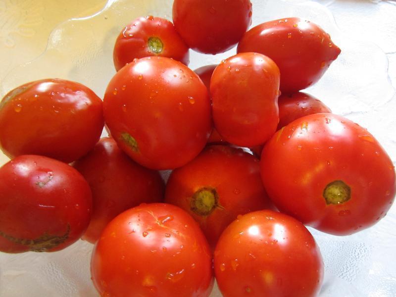 ���ѱ��������