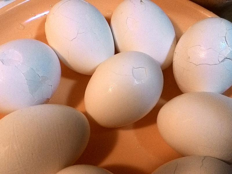 ��Ҷ������±������