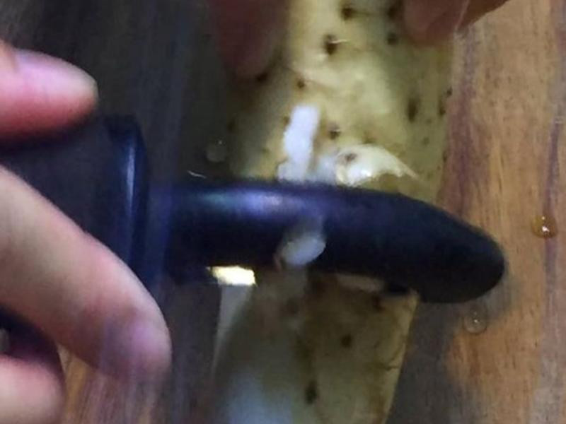 ɽҩ��������������