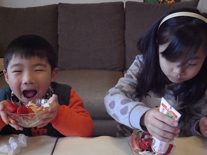 ��ݮ�Ͱ�ӥ������ ~ ɽҩ��ݮ������