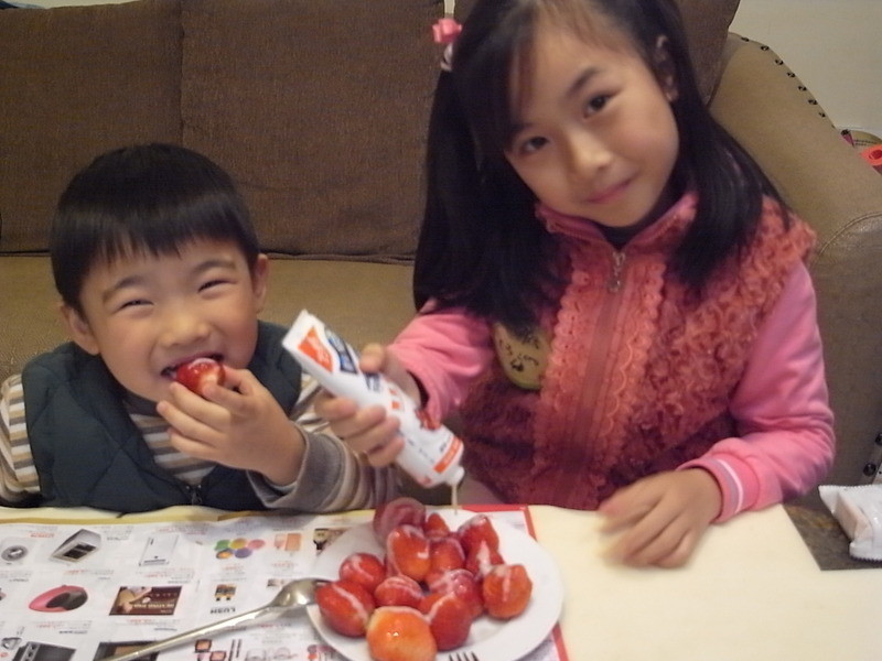 ��ݮ�Ͱ�ӥ������ ~ ɽҩ��ݮ������