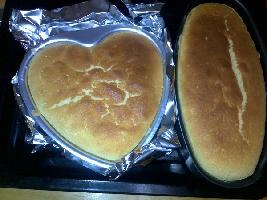 �Ϸ��������̵��������