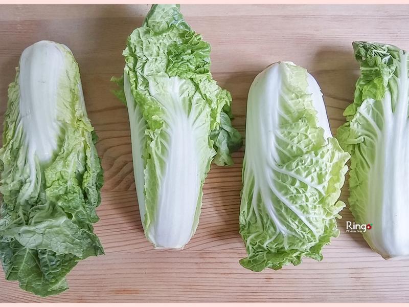 �������޲˵�����