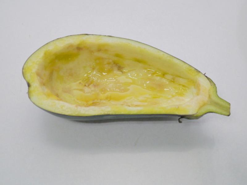 �h�������Ѻе�����