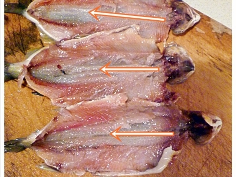 �޴̴�ڳԡ������������