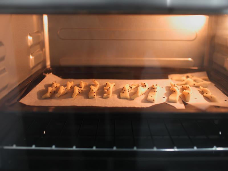 ����֥����ɵ�����