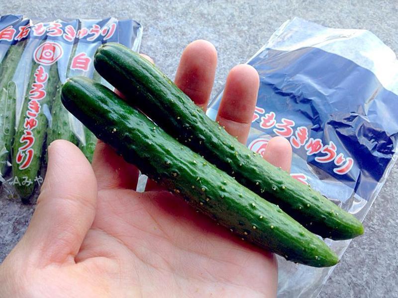 ��ʽ��ƹϵ�����