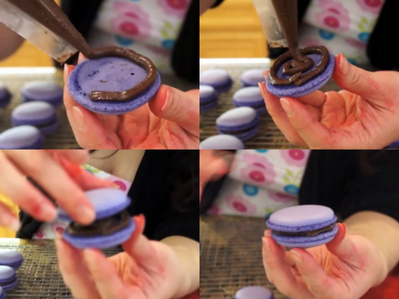 ����������������