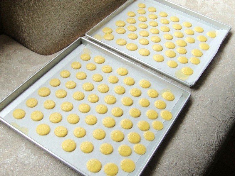 �����������������