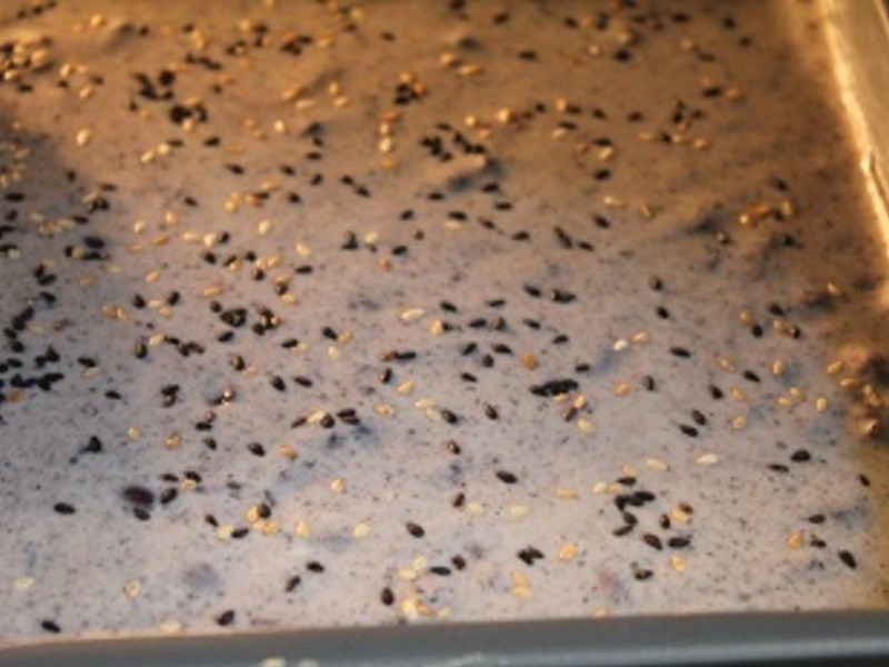 [��] ֥��춹��������