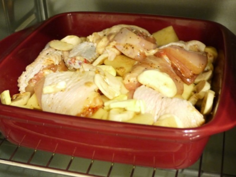 ������ʳ-�ҵ�ʥ������������