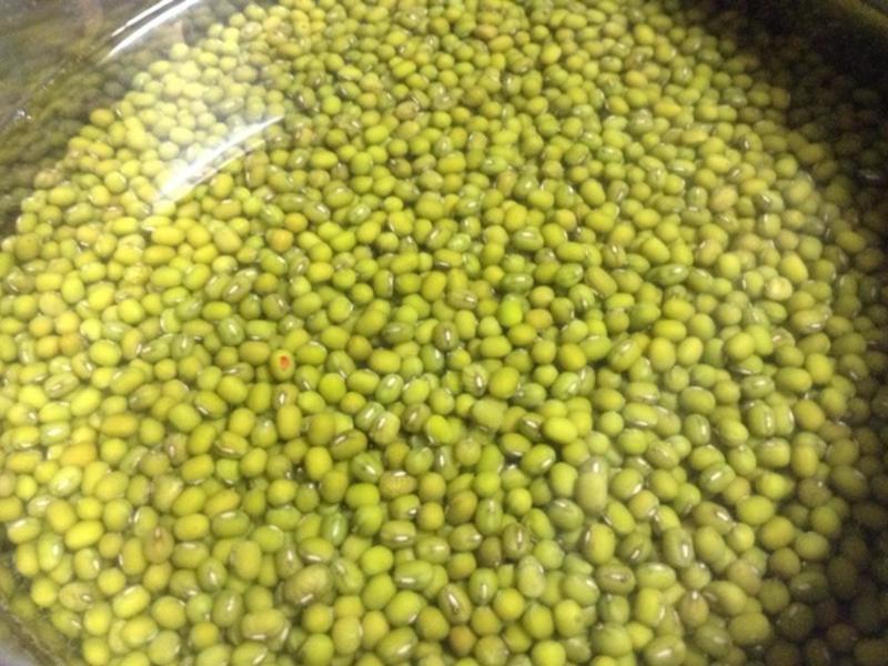 �ع��̶�ɳ����������ƿ�ģ��������