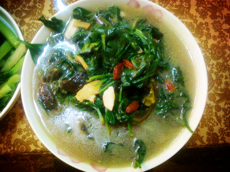 �������Ҷ������