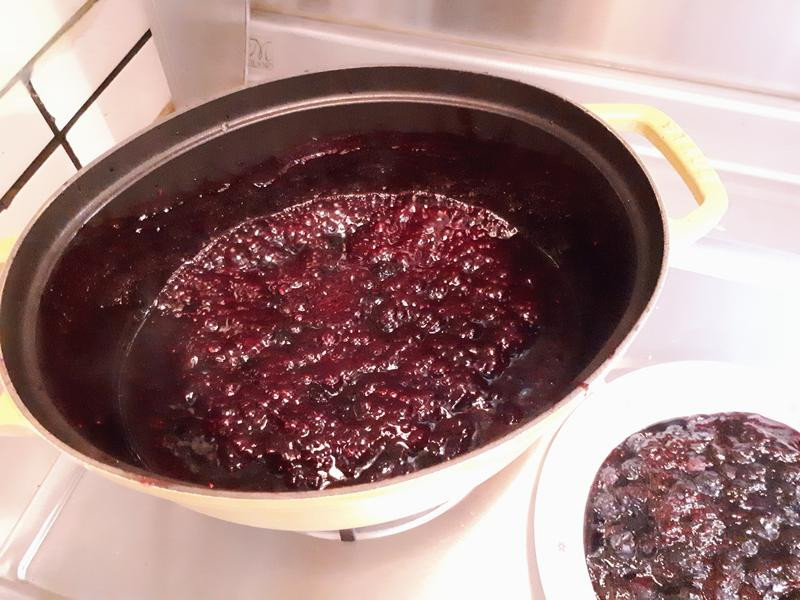 ݮ�������ѹ���������