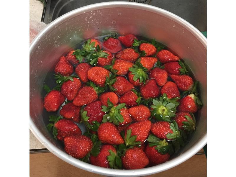 ��ݮħ�����������