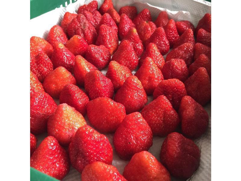 ��ݮħ�����������