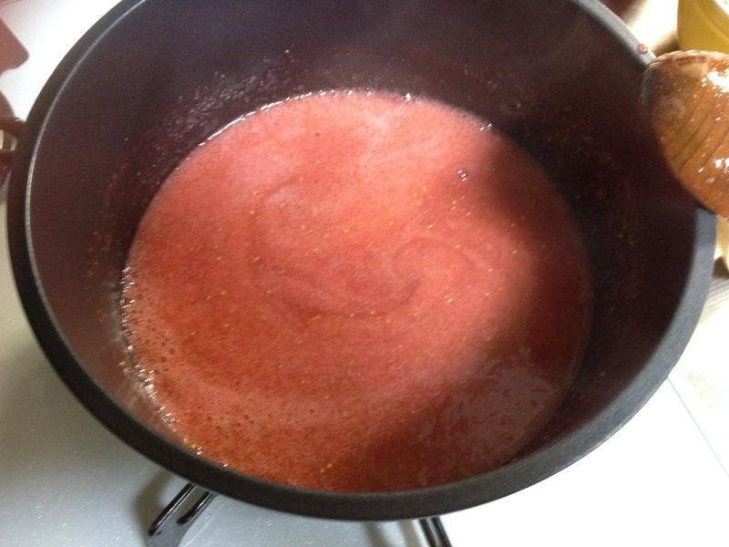 ��ݮ�Ÿ�Ľ˿���������