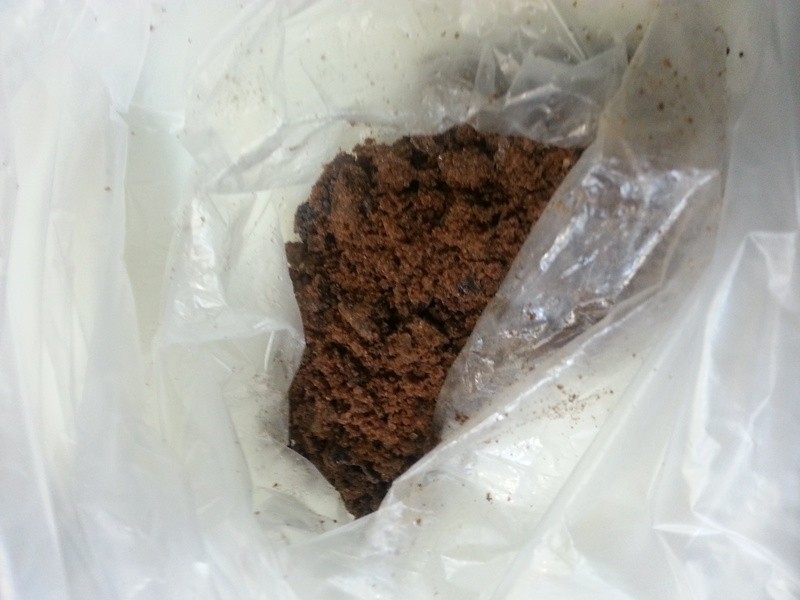 �������ɣ����ɿ���â�����ĵ��������