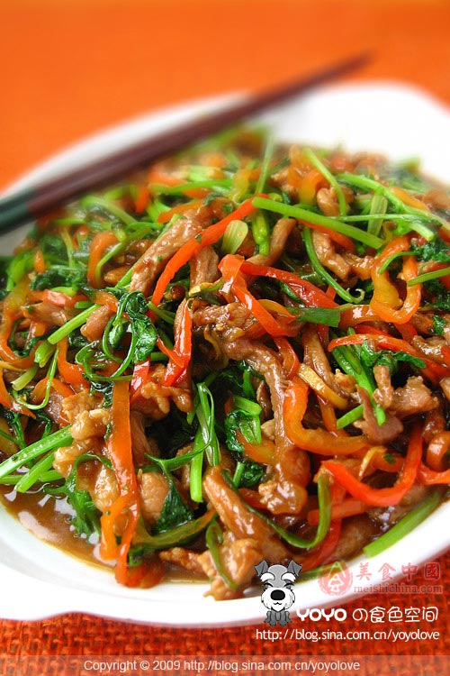 ������˿������