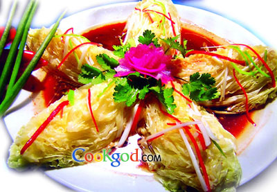 ������ײ˵�����