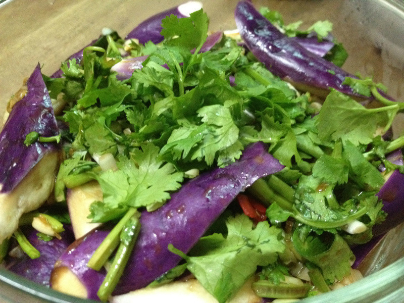 ������ˬ�������ӵ�����