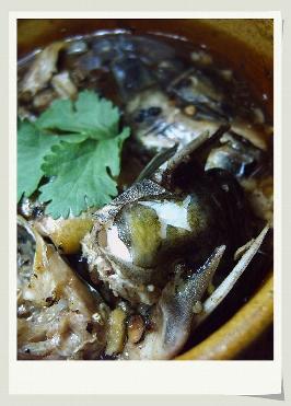 �������ƹ��������