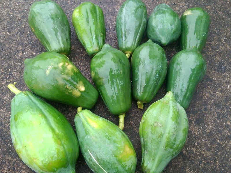 ���ˤΰ������ľ�ϵ�����