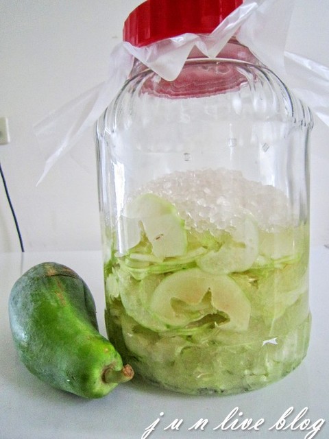 DIY木瓜酵素的做法